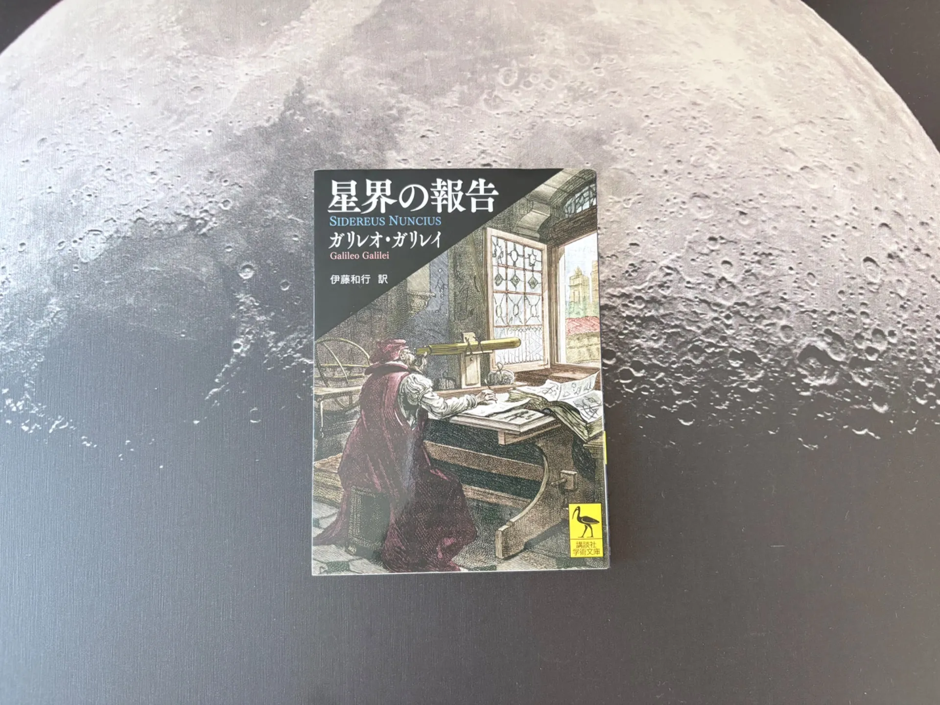 星界の報告